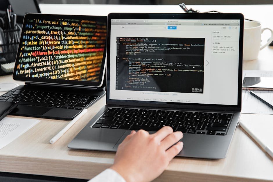 Beginner bootcamp с нуля